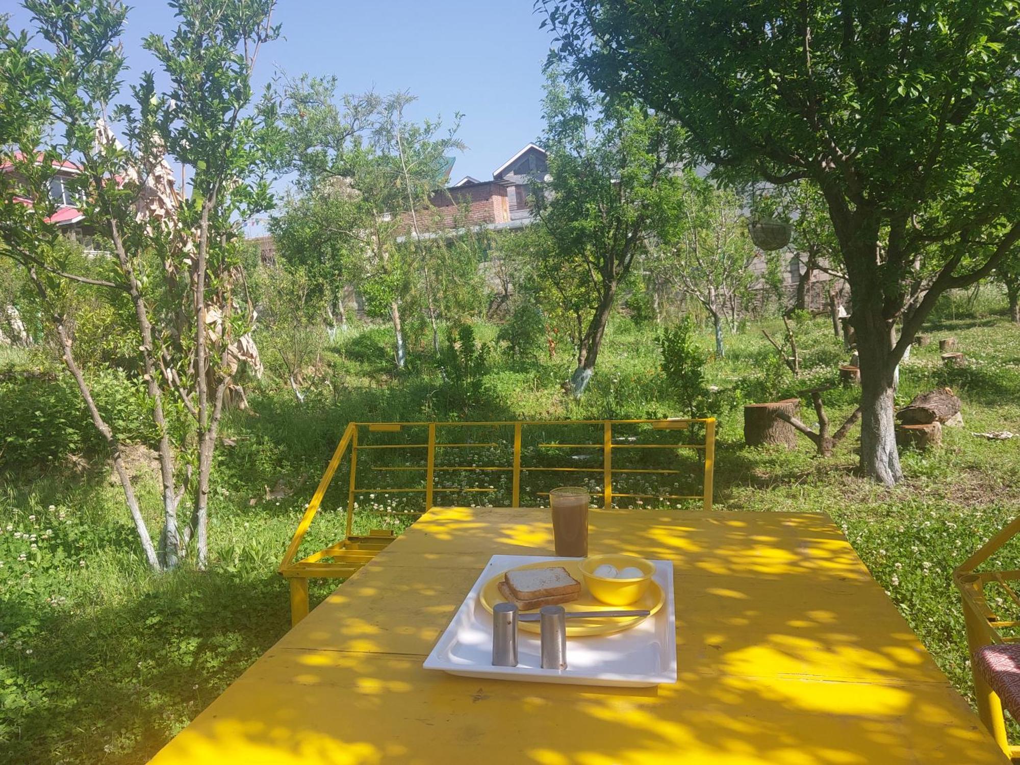 Gazing Moon Homestay Shamshi Eksteriør bilde